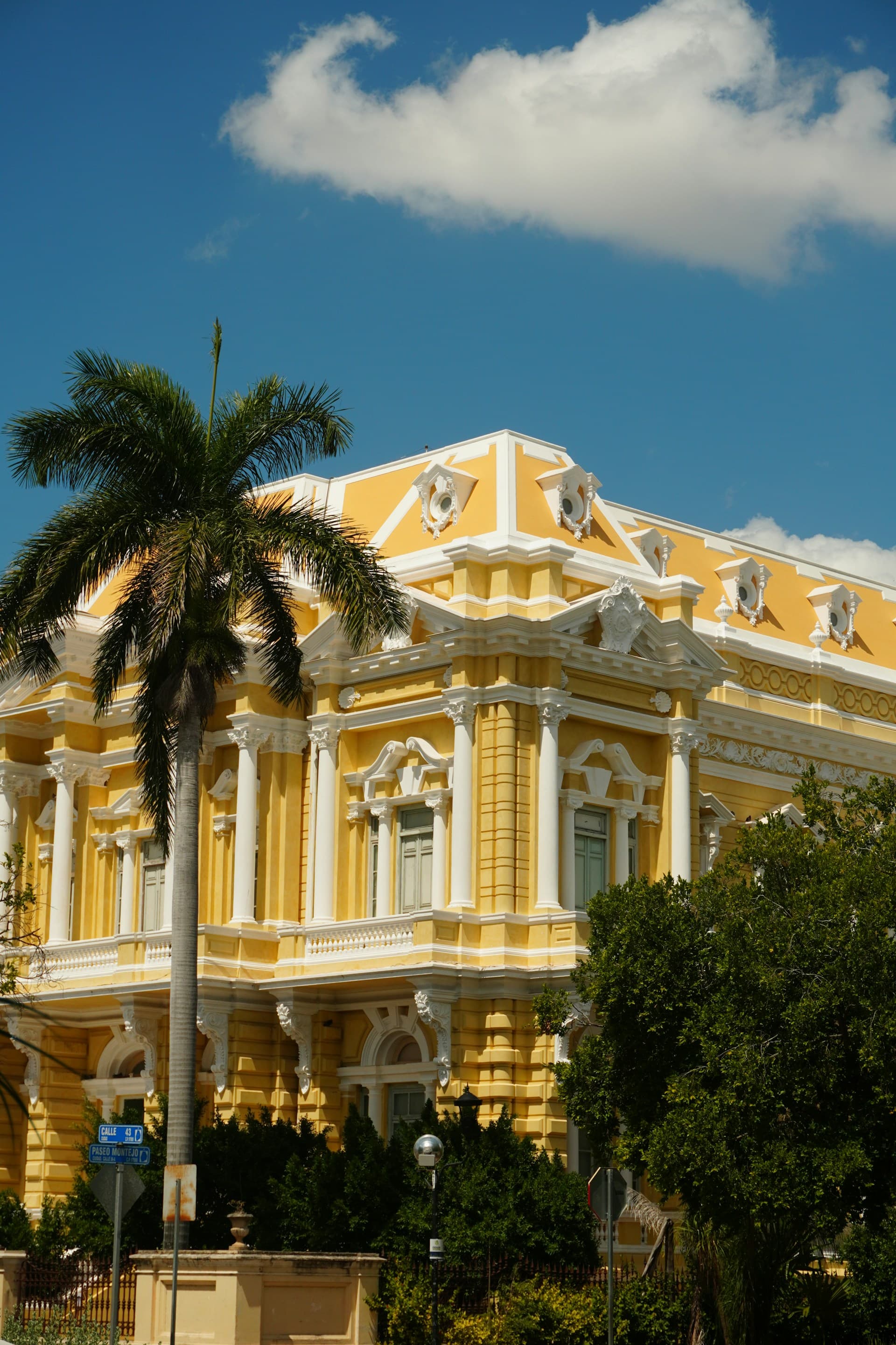 Edificio histórico con palmera en Paseo de Montejo